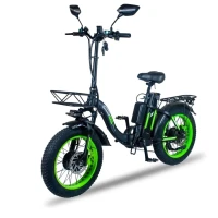 Электровелосипед Minako F11 Dual PRO зеленый